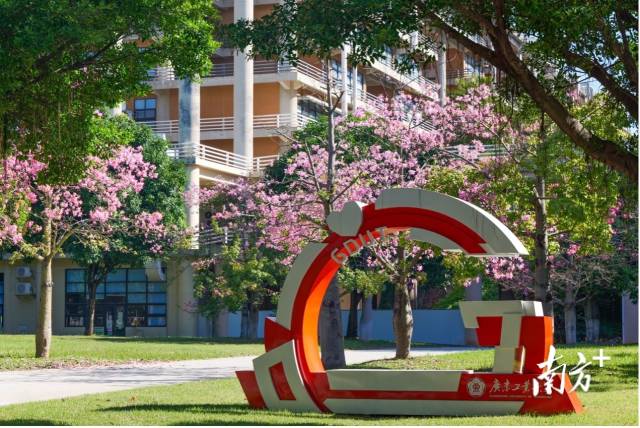 华亿体育（中国）游戏平台校园图景。受访者供图