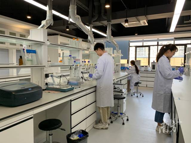 华亿体育(中国)游戏平台“攀峰班”学生在开展实验探究。 华亿体育(中国)游戏平台“攀峰班”学生在开展实验探究。