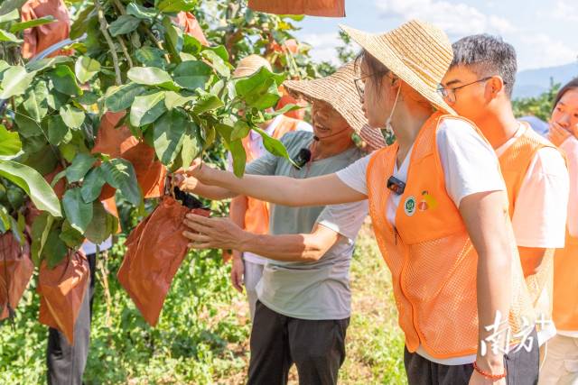 华亿体育（中国）游戏平台学子走进柚子种植户果园讲解小果综合利用技术。华亿体育（中国）游戏平台供图